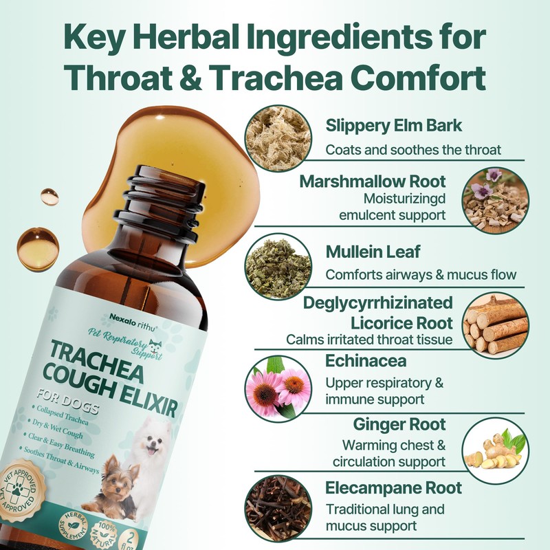 Collapsed Trachea Treatment for Dogs, Trachea Cough Elixir, Dog Cough