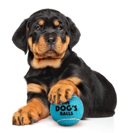 The Little Dog's Balls - Dog Tennis Balls, Small, Blue, Pack of 6