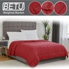 BETU Weighted Blanket for Adults (15lbs, 60"x80" Queen Size) -