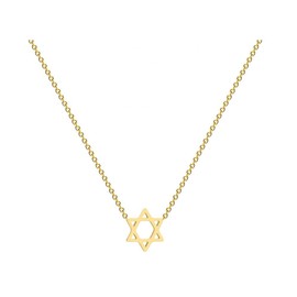 Dainty Gold Star of David Pendant Necklace Jewish Jewelry for Women Gift (gold)