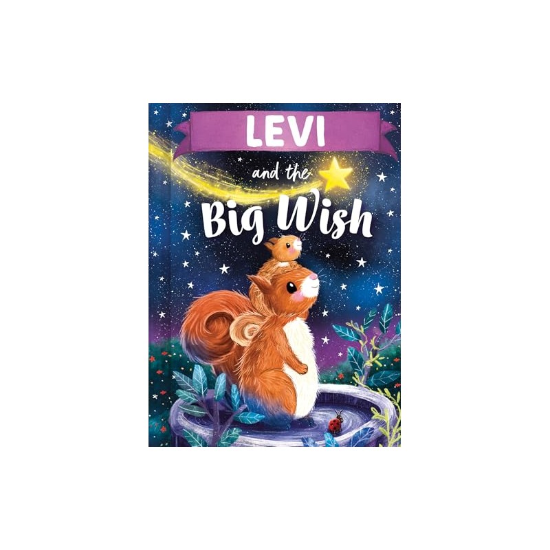 Levi and the Big Wish