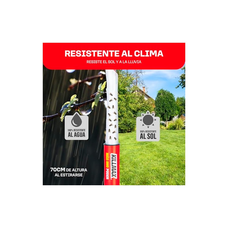 KILLMAX Trampas de pegamento para Moscas e Insectos Voladores, Olor