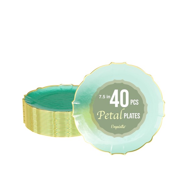 Exquisite Elegant Plastic Plates For Party 40 Dinner Plates -