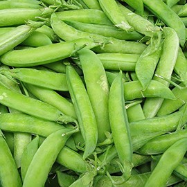 Wando Pea Garden Seeds - 25 g Packet ~75 Seeds - Non-GMO, Heirloom Vegetable Gardening Seed