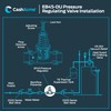 Cash Acme EB45 Pressure Regulating Valve, Double Union, 1 Inch