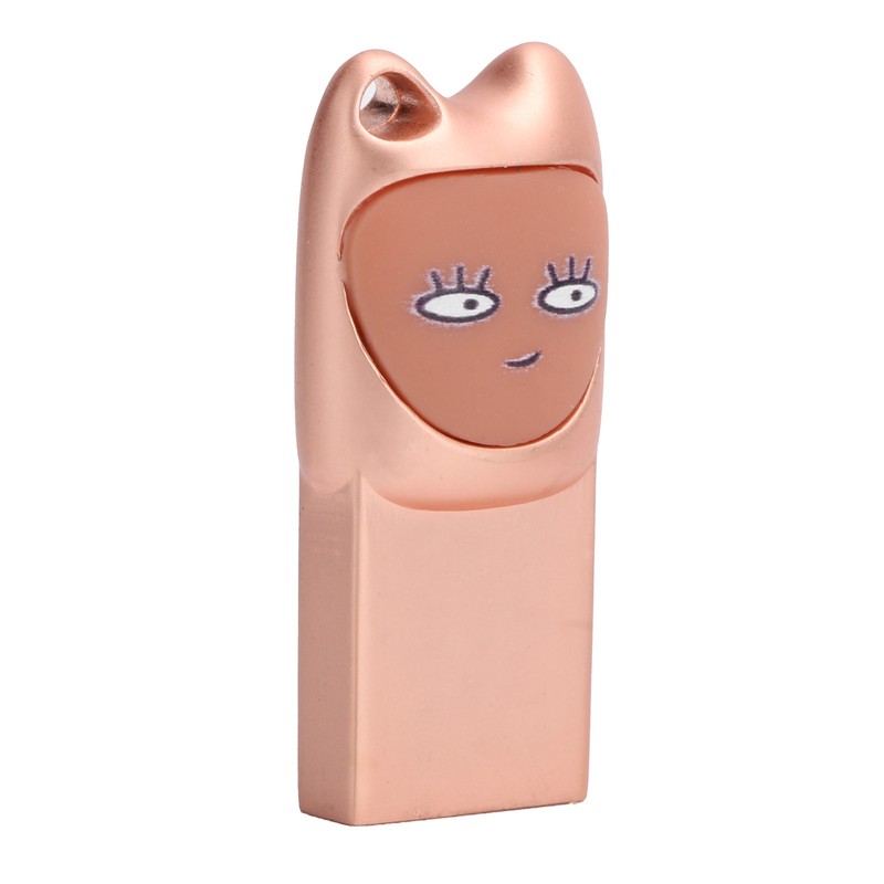 Flash Disk USB2.0 Interface Plugin Free Drive Cartoon U Disk