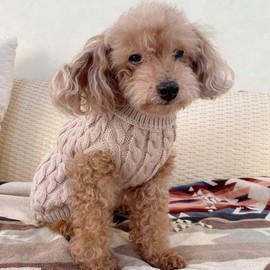 SJOL Dog Cute Rough Fabric Sweater Size Available (Dog Clothes, Cats, Dog Wear, Christmas, Pets, Autumn and Winter Clothes, Cosplay, Autumn, Winter, Dog, Love, Cat, Birthday, Gift, Gift, Small Dog,