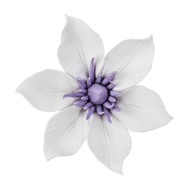 BESTOYARD 3D Floral Wall Decoration Artificial Plants for Wall Hanging Outdoors Moss Wall Art Bedroom Vintage Decor Clematis Wall Ornament White Ceramics Porcelain Flower