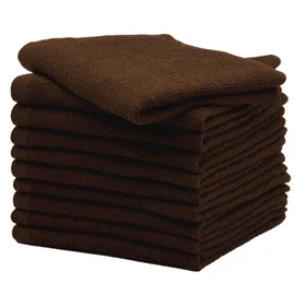 19 inch Face Towels, Water Absorbency and Quick Drying, Thin Face Towels, Set of 10, Towels, Long Size That Can Be Used in a Variety of Use, Absorbent Towel, Quick Drying Towel, Facial Towel, Towel