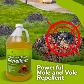 Natural Elements Mole and Vole Repellent | 100% Castor Oil | Pet Safe and Non Toxic | Food Grade | 128 oz (1 Gallon)