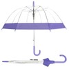 Parquet Clear Bubble Umbrella with Windproof Dome - Transparent Umbrella