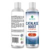 Champú Catalase Boost para hombres y mujeres, 8 onzas