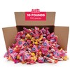 Candy Variety Pack - 10 Pounds Over 700 Pieces -