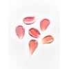 [NEW Clear Gloss] Dew Stain Sheer Lip Gloss 13 colors