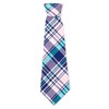 The Worthy Dog Madras Plaid Neck Tie Comfortable Easy to