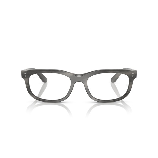 [レイバン] サングラス 0RX5489F STRIPED GRAY 54