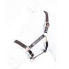 Robust Marengos Leather Headcollar Brown Shetty