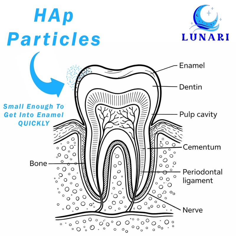 100% Pure Nano Hydroxyapatite Tooth Powder – Enamel Remineralization Support,