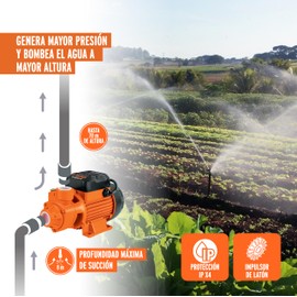 TRUPER BOAP-1 1 HP Peripheral