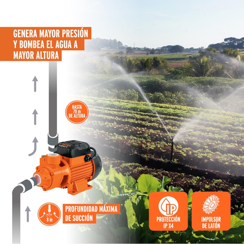 TRUPER BOAP-1 1 HP Peripheral