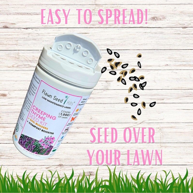 Flawn Seed Kits Creeping Thyme Seed Kit, Easy Spread Shaker