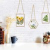 Lrtzizy 3 Packs Pressed Flowers Glass Frames- Golden Hanging Glass