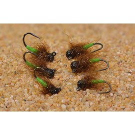 6 Flies - Tungsten Jigged Caddis Jig Head Fly - Euro Nymph - Hanak Hook (Assortment)