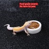 RunXF Reptiles Bowl Ceramics Dish 3.9 x 1 inch Round