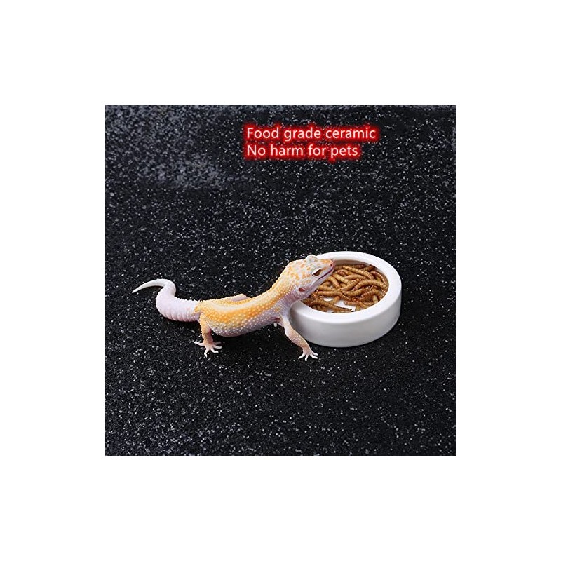 RunXF Reptiles Bowl Ceramics Dish 3.9 x 1 inch Round