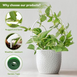 JETTIFY 2 Pack Round Plant Trellis for Potted Plants Indoor Outdoor, Acrylic Small Trellis for Climbing Plants, Plant Support for Hoya Pothos Vine Ivy Monstera Flower Philodendrons Dischidia