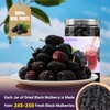 Dried Black Mulberries 8.8oz(250g),245-250 Per Jar,Natural Wild Black Mulberry,Top Grade