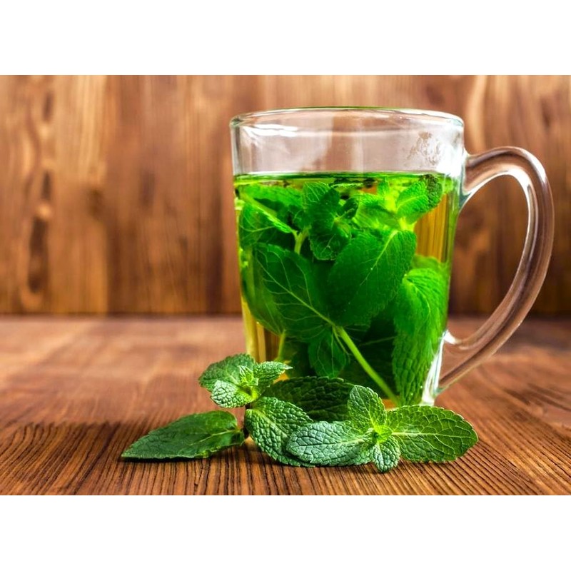 Peppermint Seeds 1000+ Seeds for Planting