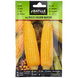 Batlle Gemüsesamen - Zuckermais Golden Bantam (48-72 Samen)