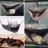 bangminda Small Animal Hammock Hamster Hammock Tunnel Ferret Hammock Warm