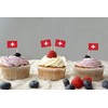 QQSD Switzerland Toothpick Flag Swiss Small Mini Cupcake Topper Flags,100
