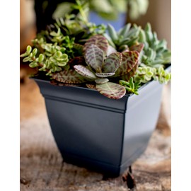 The HC Companies 6 Inch Eclipse Square Planter with Saucer - Indoor Outdoor Plant Pot for Flowers, Vegetables, and Herbs, Warm Gray