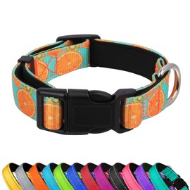 PWOD Reflective Dog Collar, Adjustable Soft Neoprene Padded Nylon Pet Collars with Buckle for Puppy and Small Dogs, Cats, Summer Lemon,XL