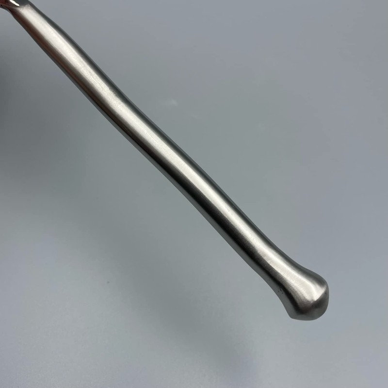 Gourmet Settings Exotique Platinum 18/10 Stainless Dinner Fork (Set of