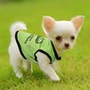 4 Pieces Dog Clothes for Small Dogs Girl Boy Summer