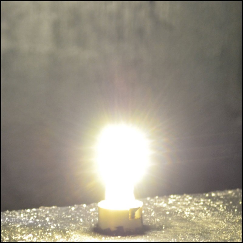 3x G4 LED 1.5 W Dimmable Daylight White 5000 K