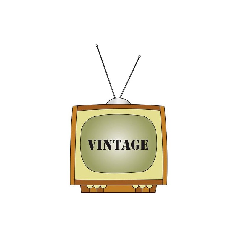 CafePress Vintage Rectangle Car Bumper Magnet