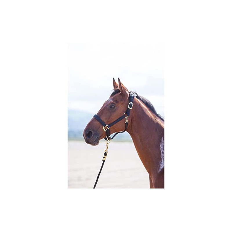 Shires Topaz Nylon Pony/Horse Headcollar - Black Cob