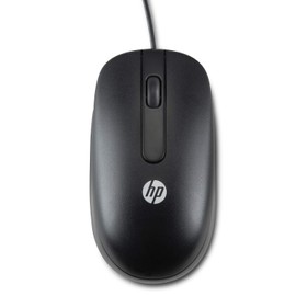 HP USB Optical Scroll Mouse QY777AA 672652-001 674316-001 SM-2022 (Renewed)