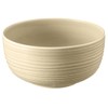 Seltmann Weiden Terra Foodbowl, 17 cm