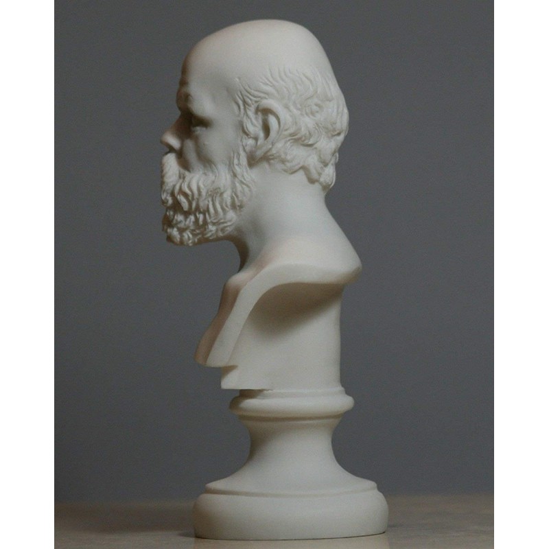 Artist Unknown Greek Philosopher Socrates Alabaster Bust Head Statue Sculpture