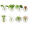 LOLYSIC 8PCS Wall Mounted Vase, Glass Wall Vase Propagation Wallmount