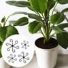 Pack of 4 Plant Holders, Shrub Holders, Black, Reusable Plant