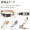 PUPTECK Dog Harness Leash Set for Dogs, Soft Velcro Included,