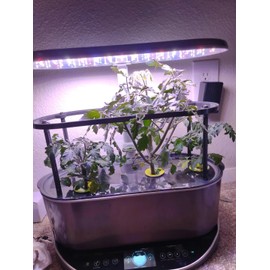 AeroGarden Bounty Trellis (TRELLIS ONLY)