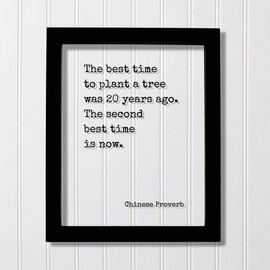 Chinese Proverb - Floating Quote - The best time to plant a tree was 20 years ago. The second best time is now